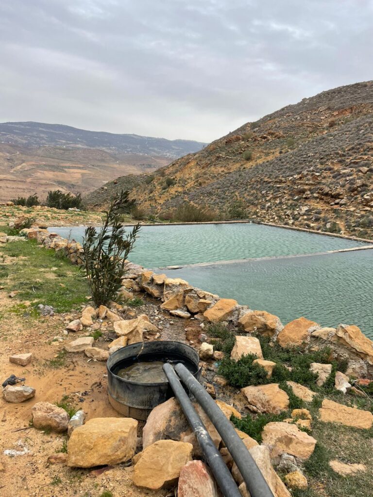 img 20260201 wa0002